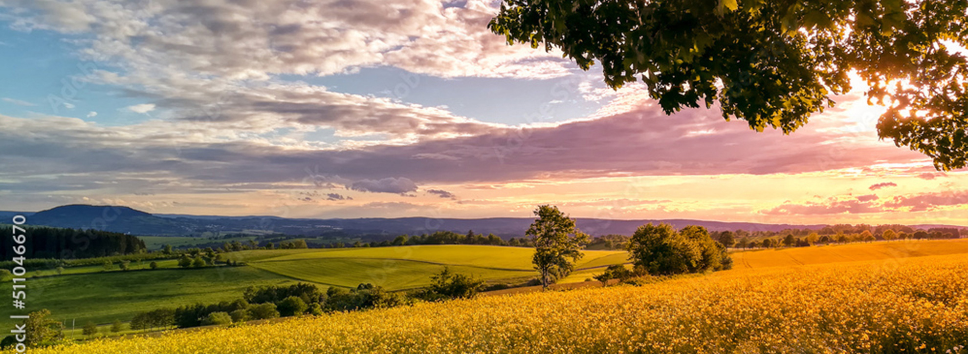 Titelbild schöne Natur. Felder und Berge.