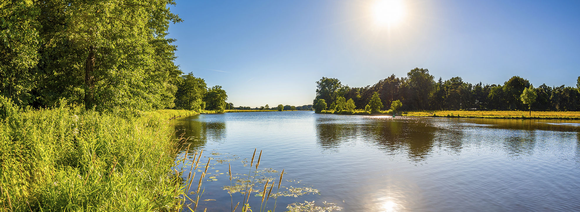 Titelbild schönes Natur. Blaue Himmel, Wald und Fluß